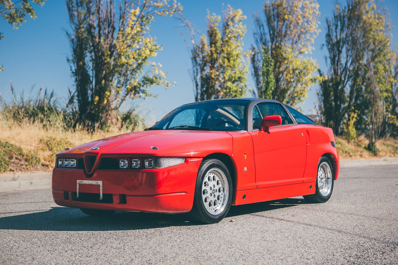 Alfa Romeo SZ GT For Sale on eBay